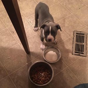 Meet your Posher, Torrin